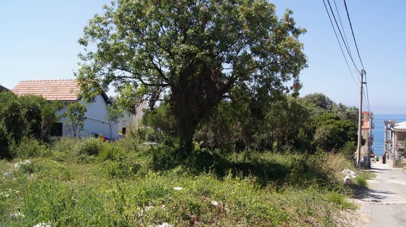 Land plot 