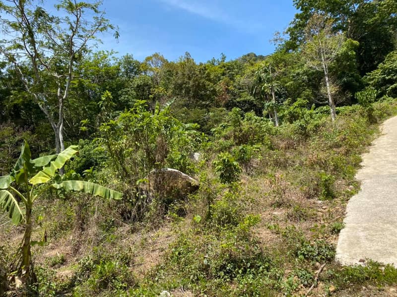 Land plot 