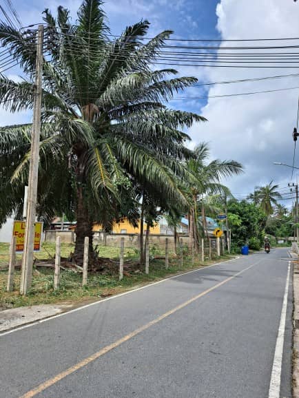 Land plot 