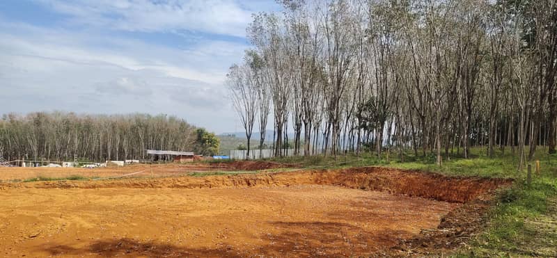 Land plot 