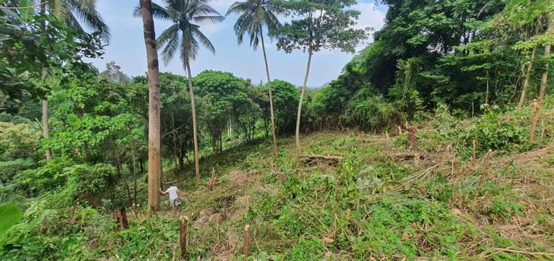 Земельный участок 