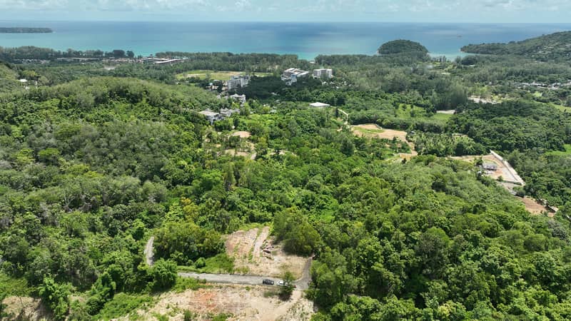Land plot 