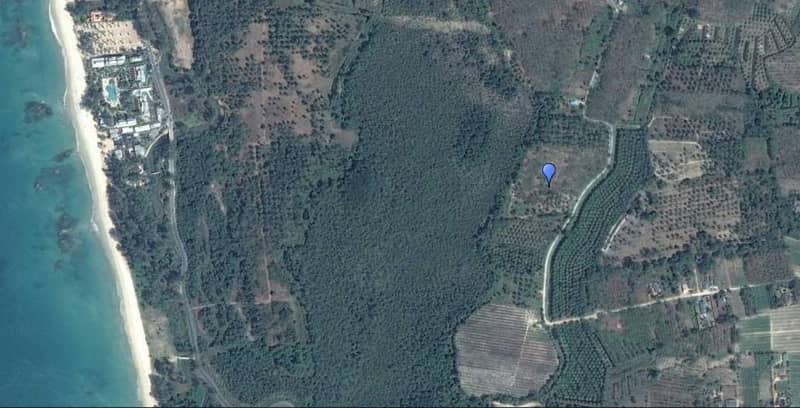 Land plot 