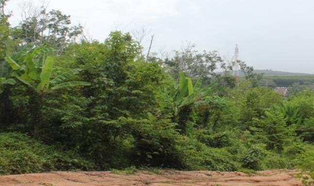 Land plot 
