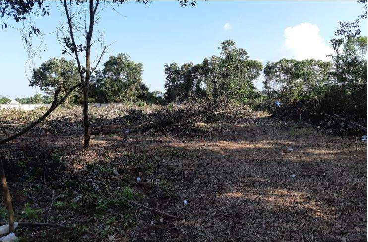 Land for Sale, Thailand, Phuket, Bang Tao | Villacarte