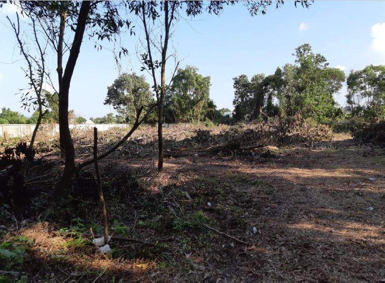 Land for Sale, Thailand, Phuket, Bang Tao | Villacarte