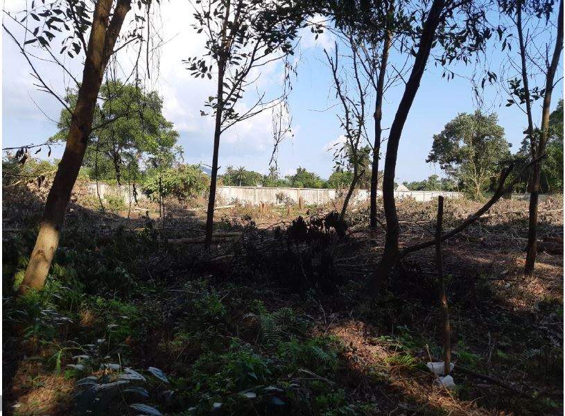 Land for Sale, Thailand, Phuket, Bang Tao | Villacarte
