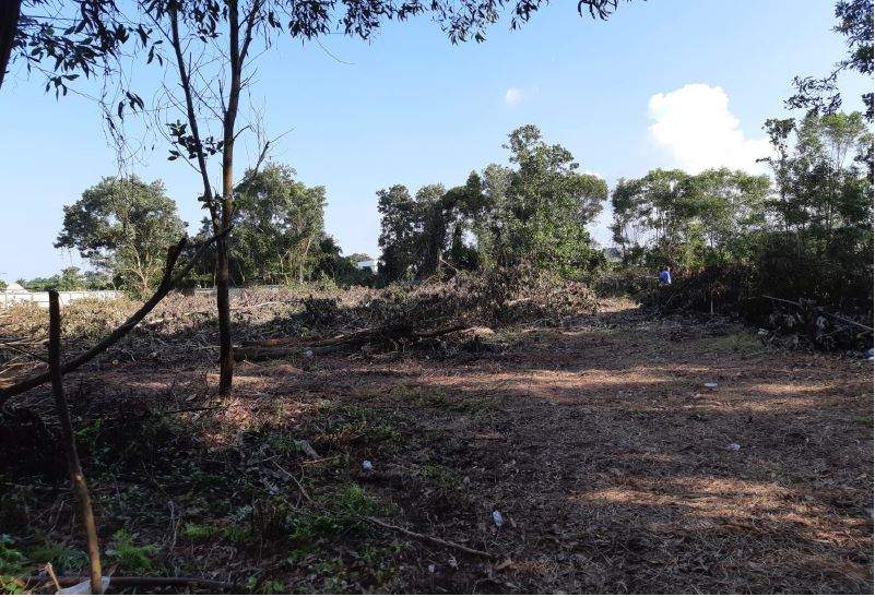 Land for Sale, Thailand, Phuket, Bang Tao | Villacarte