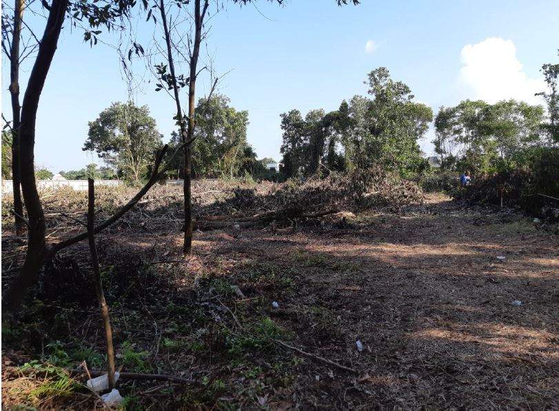 Land for Sale, Thailand, Phuket, Bang Tao | Villacarte