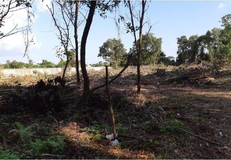 Land for Sale, Thailand, Phuket, Bang Tao | Villacarte