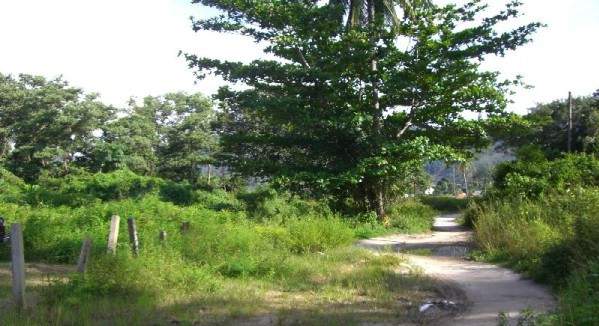 Land plot 
