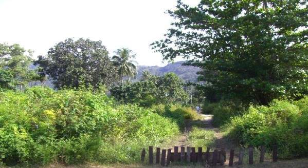 Land for Sale, Thailand, Phuket, Bang Tao | Villacarte