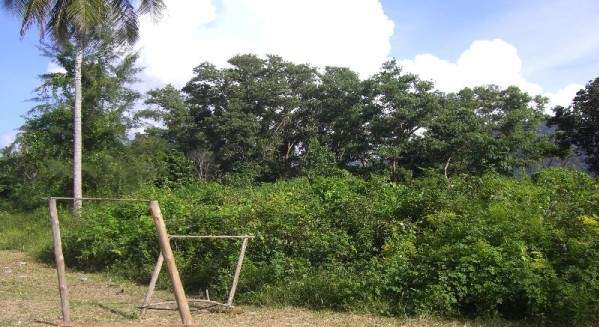 Land for Sale, Thailand, Phuket, Bang Tao | Villacarte