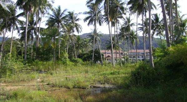 Land for Sale, Thailand, Phuket, Bang Tao | Villacarte