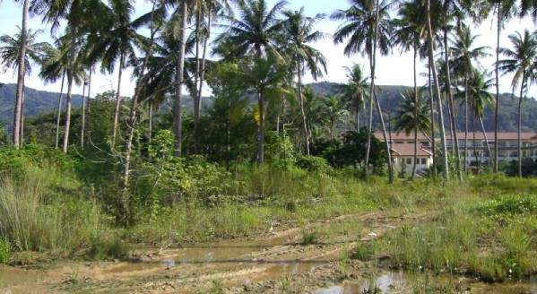Land for Sale, Thailand, Phuket, Bang Tao | Villacarte
