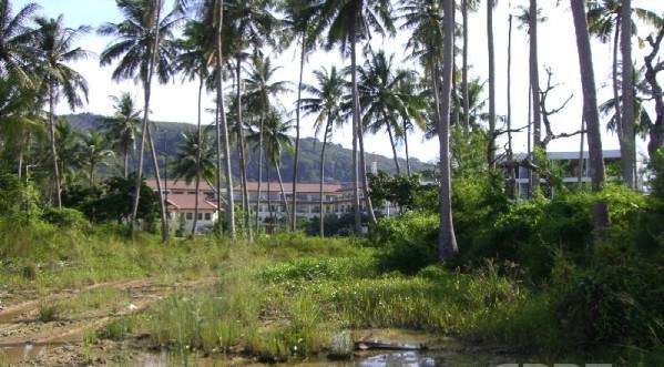 Land for Sale, Thailand, Phuket, Bang Tao | Villacarte