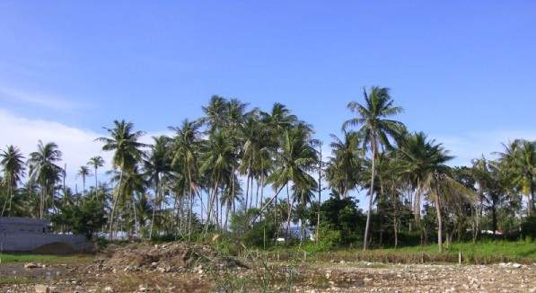 Land for Sale, Thailand, Phuket, Bang Tao | Villacarte