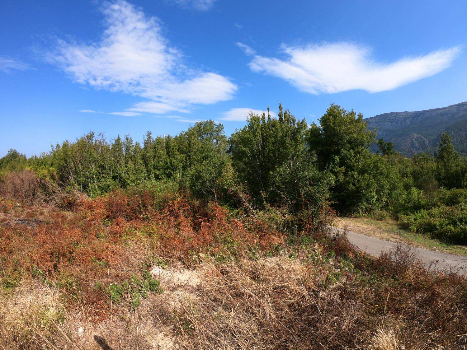 Land for Sale, Montenegro, Budva region, Buljarica | Villacarte