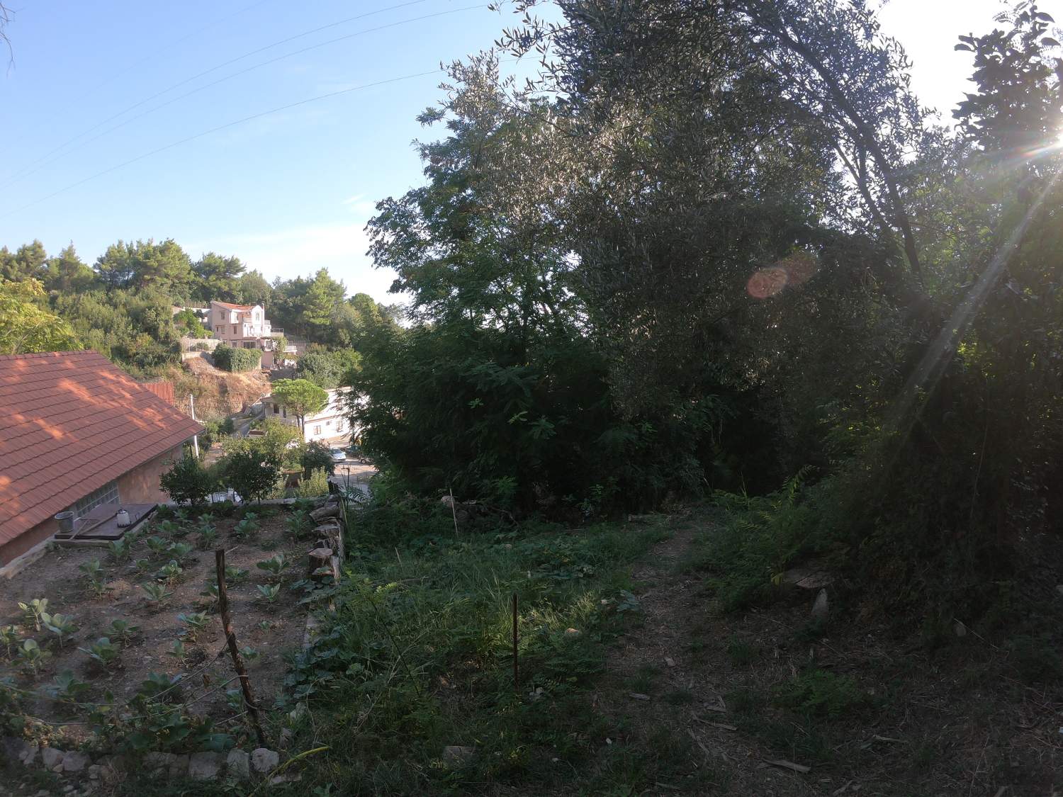 Land plot 