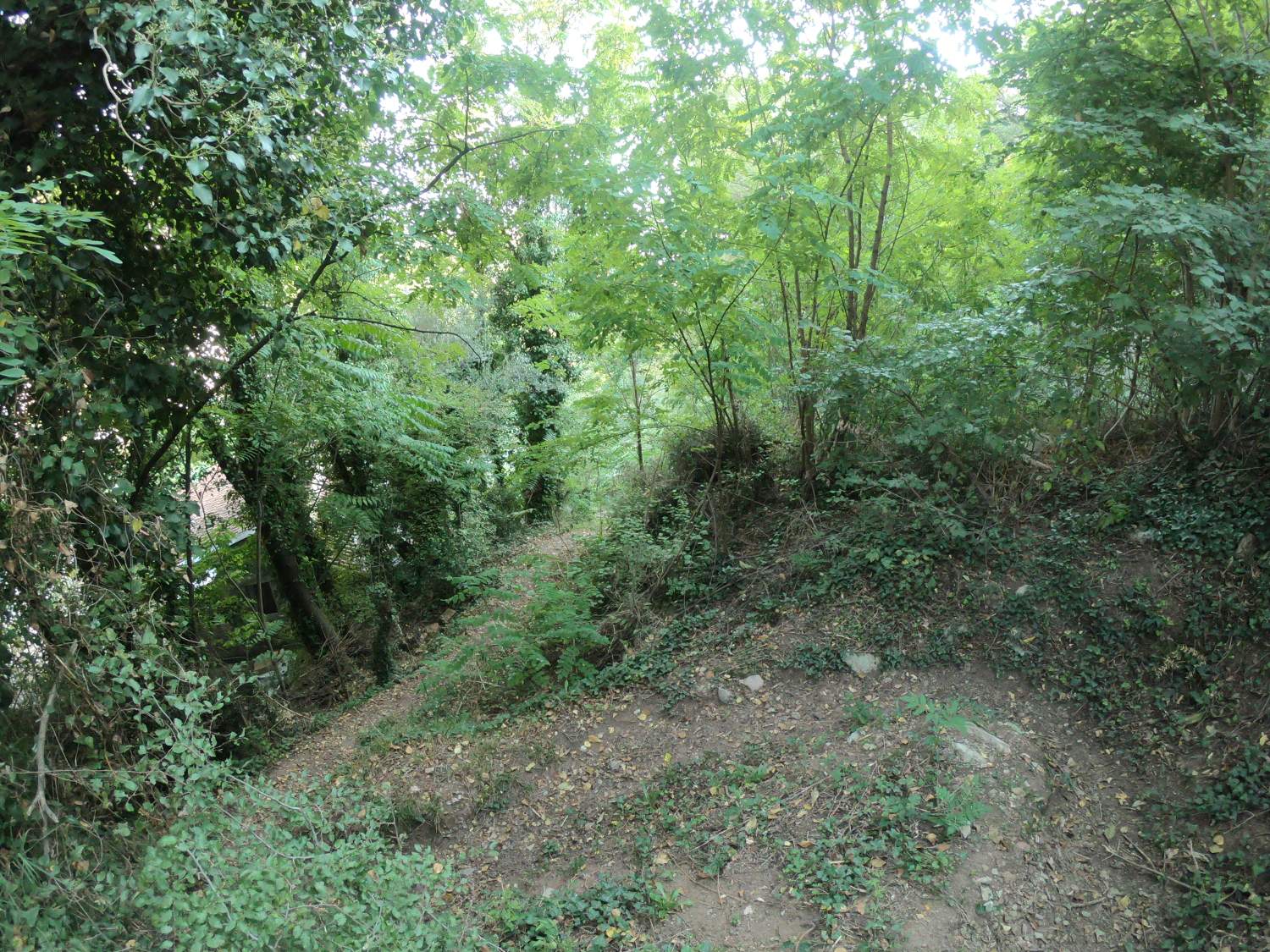Land for Sale, Montenegro, Budva region, Budva | Villacarte