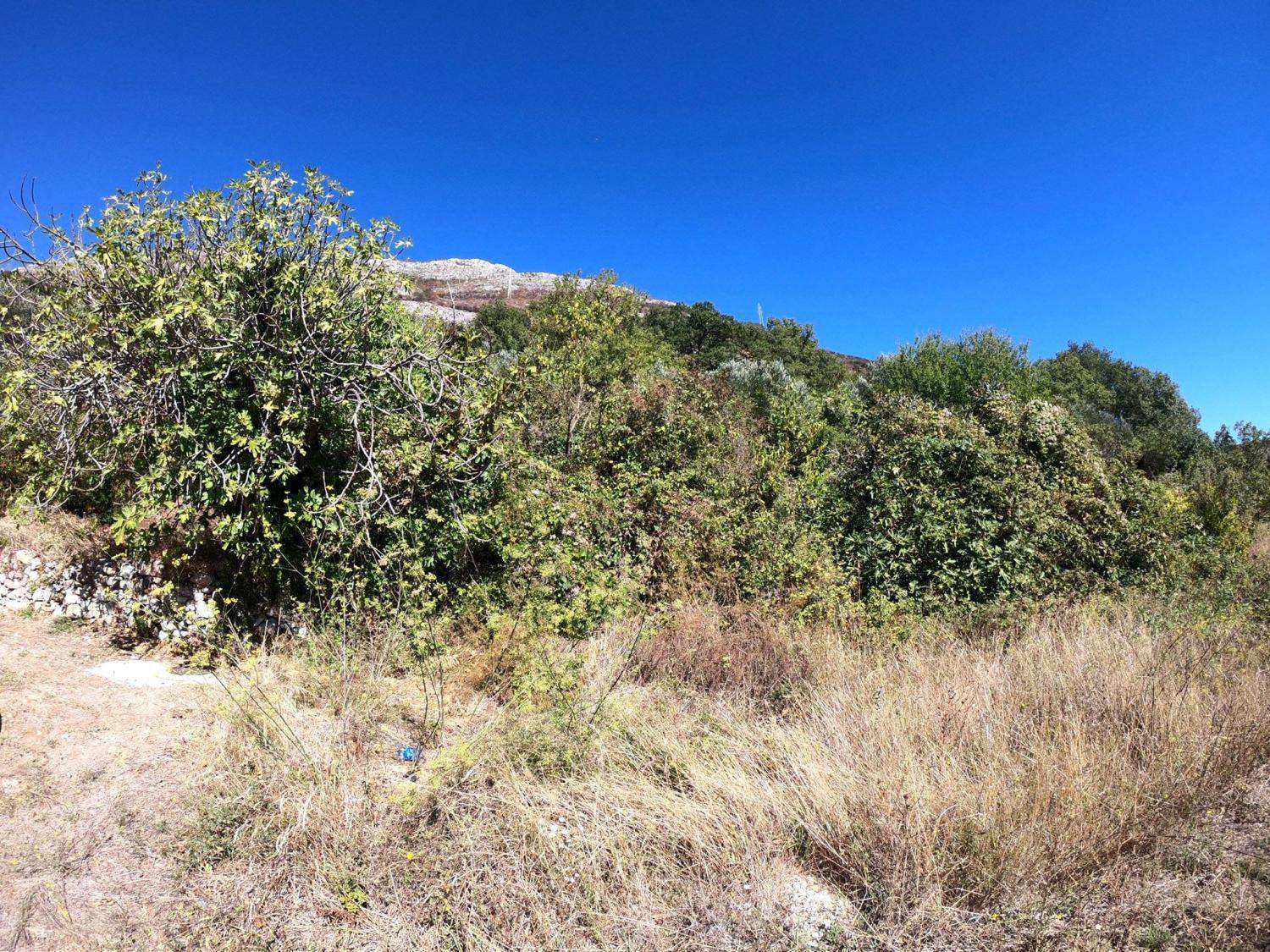 Land for Sale, Montenegro, Budva region, Rezevici | Villacarte