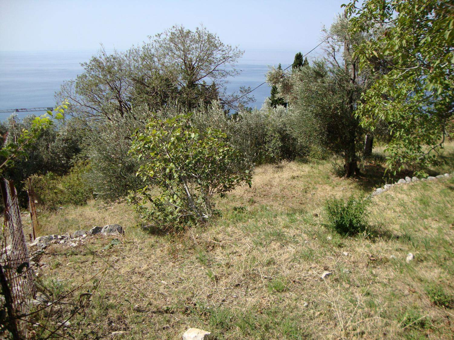 Land for Sale, Montenegro, Budva region, Rezevici | Villacarte