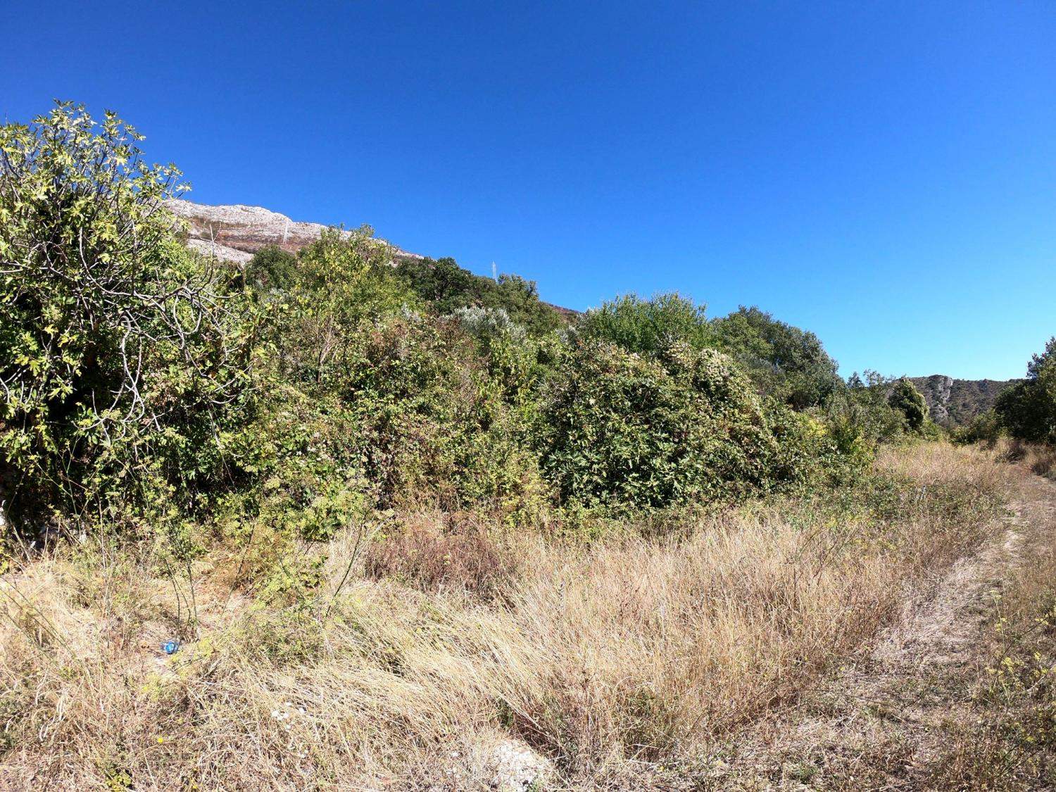 Land for Sale, Montenegro, Budva region, Rezevici | Villacarte