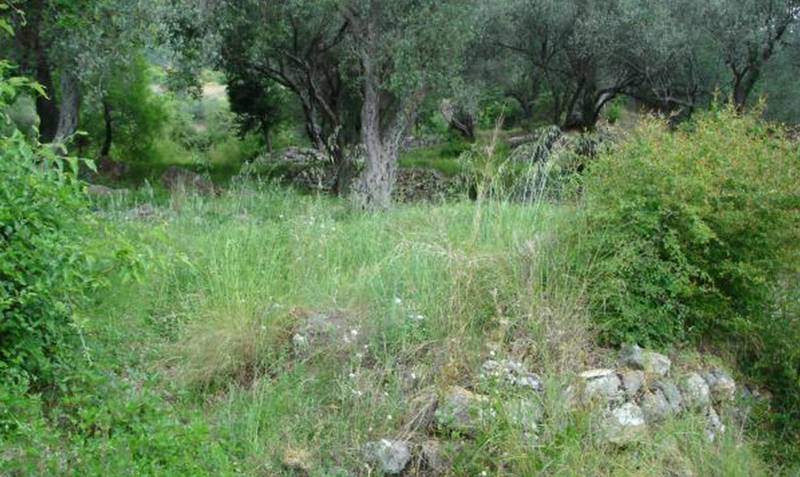Land for Sale, Montenegro, Tivat region, Tivat | Villacarte