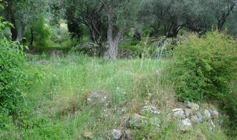 Land for Sale, Montenegro, Tivat region, Tivat | Villacarte