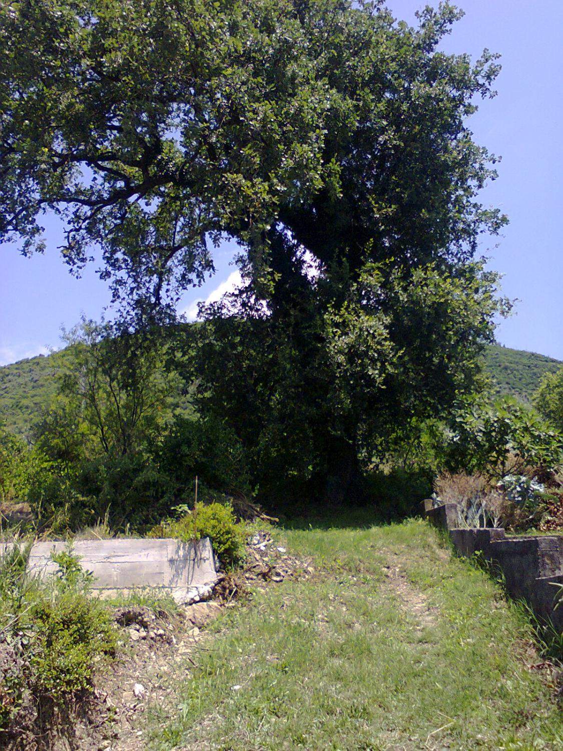 Land for Sale, Montenegro, Tivat region, Tivat | Villacarte