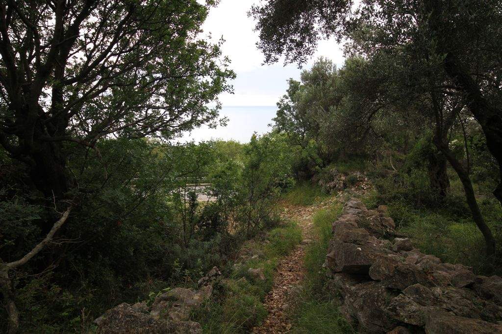 Land plot 