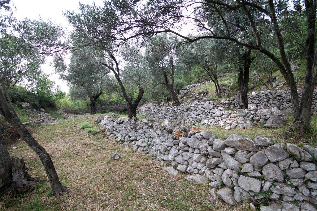 Land for Sale, Montenegro, Budva region, Rezevici | Villacarte