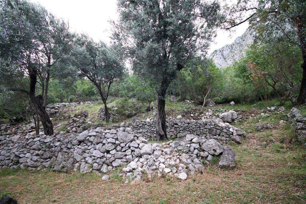 Land for Sale, Montenegro, Budva region, Rezevici | Villacarte