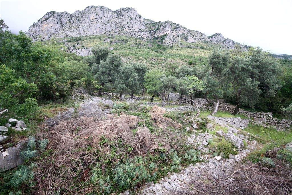 Land for Sale, Montenegro, Budva region, Rezevici | Villacarte