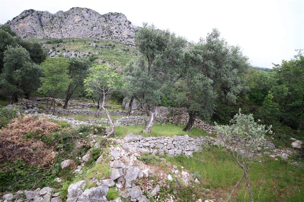 Land for Sale, Montenegro, Budva region, Rezevici | Villacarte