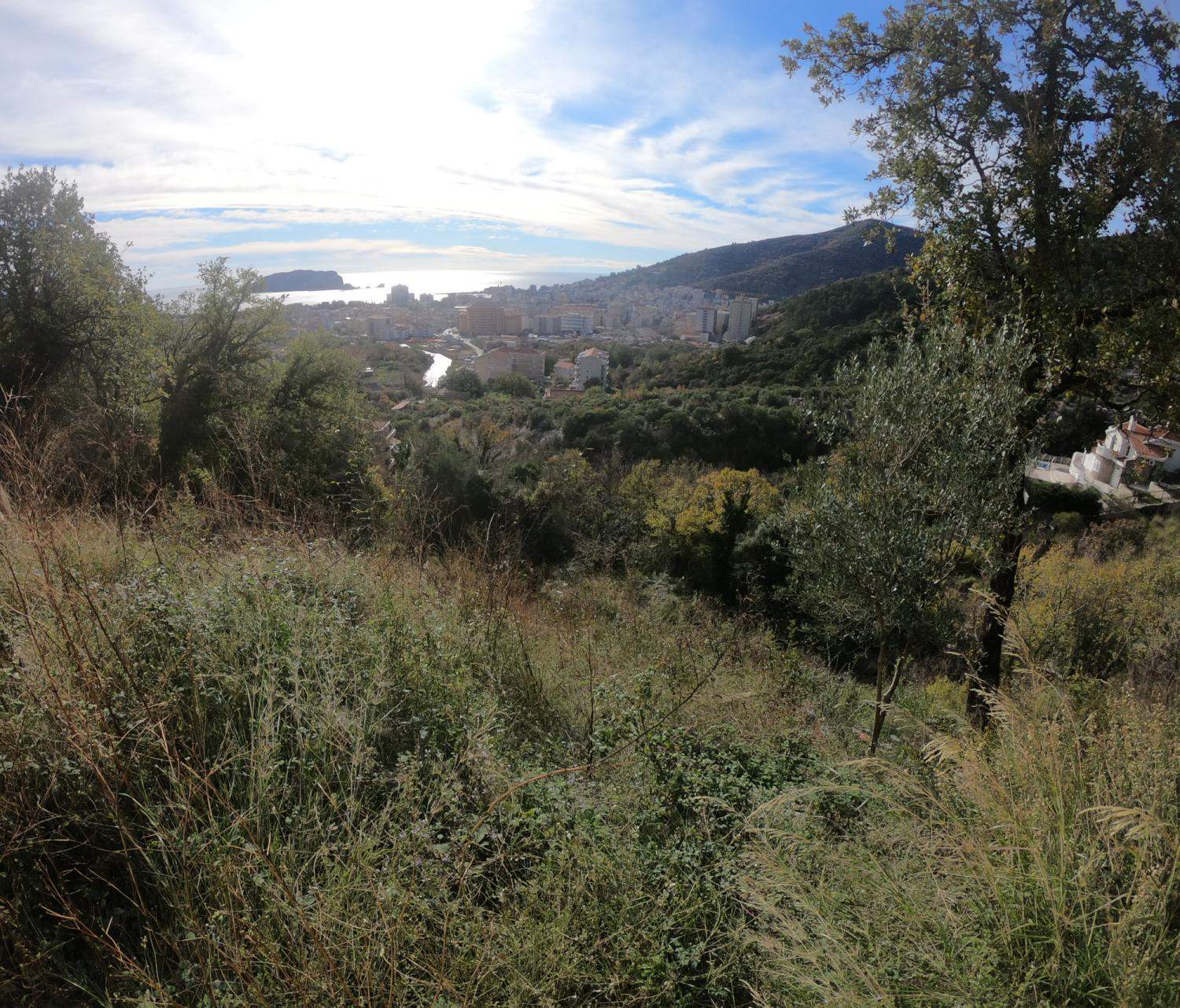 Land plot 