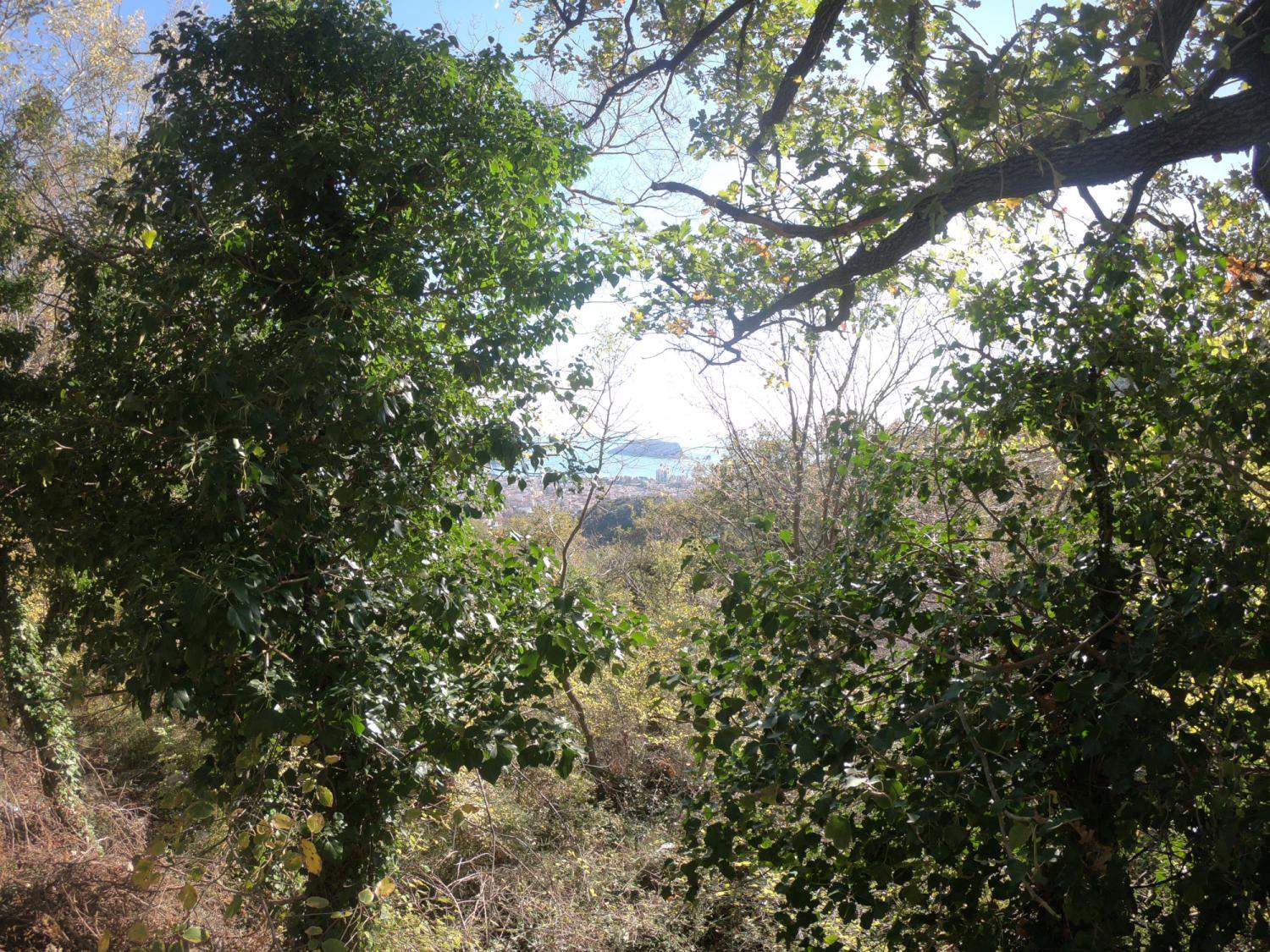 Land for Sale, Montenegro, Budva region, Budva | Villacarte