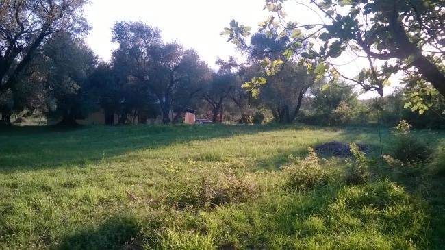 Land for Sale, Montenegro, Kotor region, Kavac | Villacarte