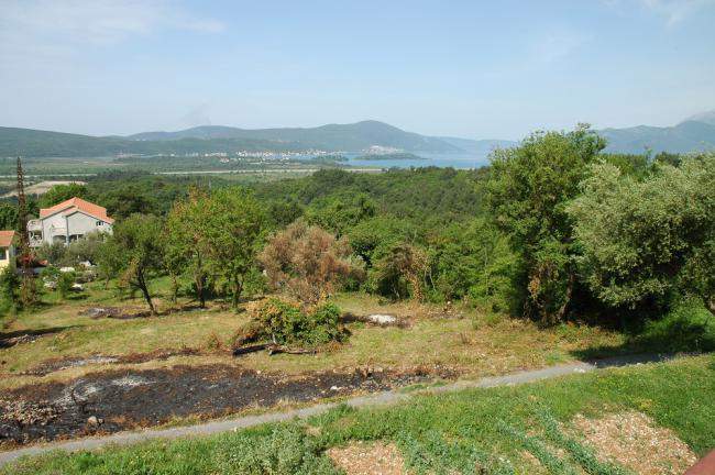 Land plot 