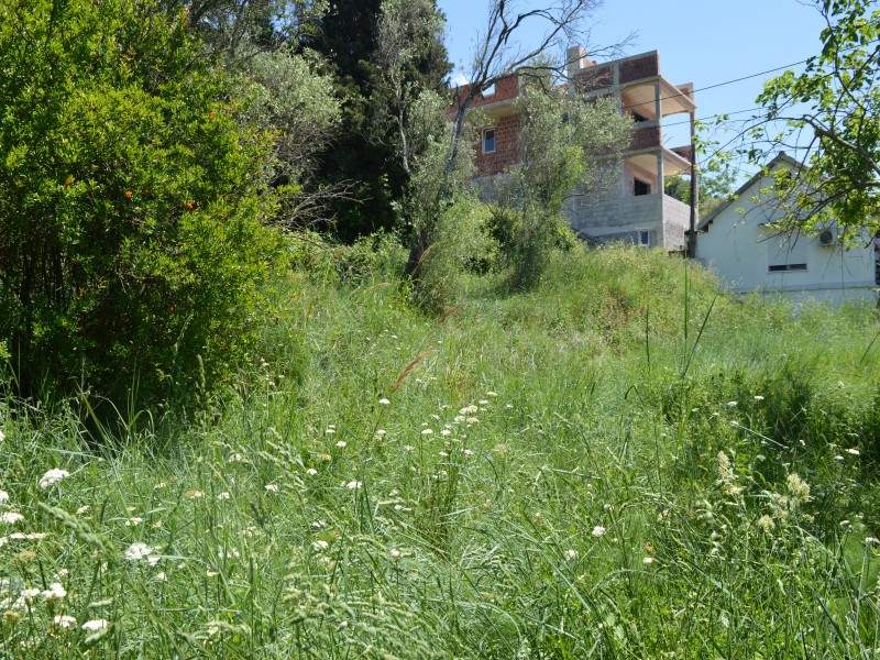 Land for Sale, Montenegro, Tivat region, Seljanovo | Villacarte
