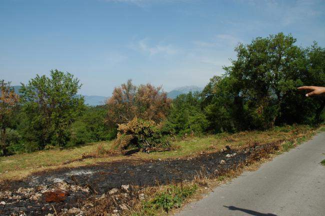 Land for Sale, Montenegro, Kotor region, Kavac | Villacarte