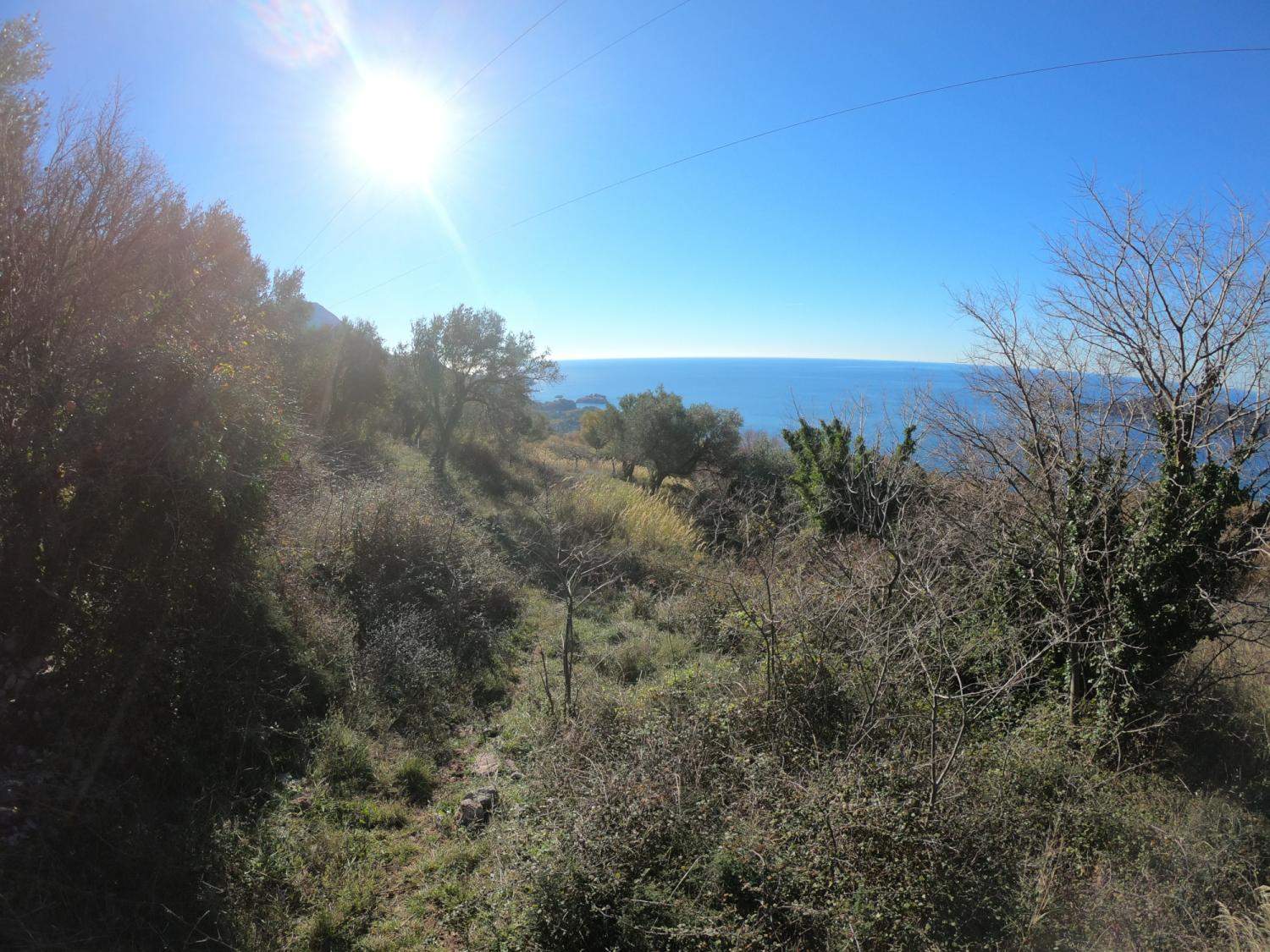Land for Sale, Montenegro, Budva region, Becici | Villacarte