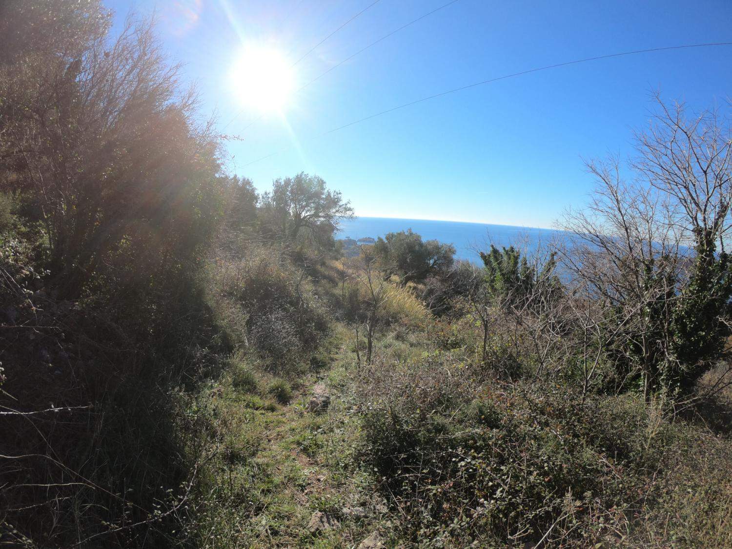 Land for Sale, Montenegro, Budva region, Becici | Villacarte