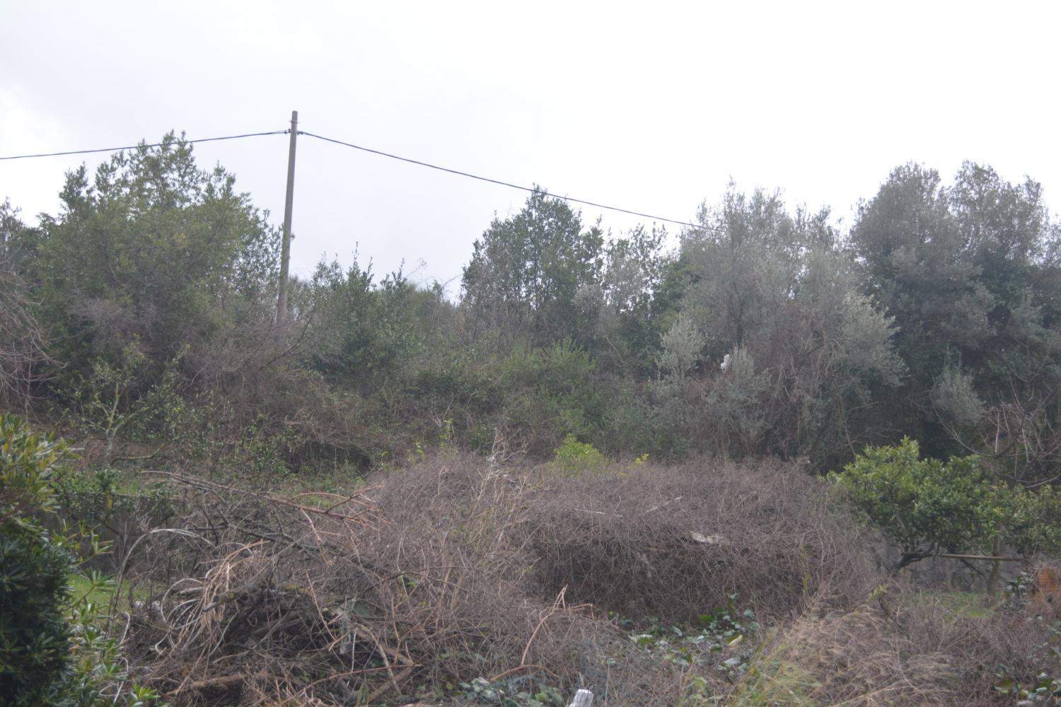 Land for Sale, Montenegro, Tivat region, Tivat | Villacarte