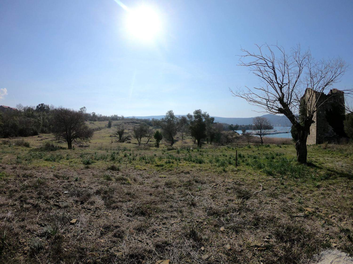 Land plot 
