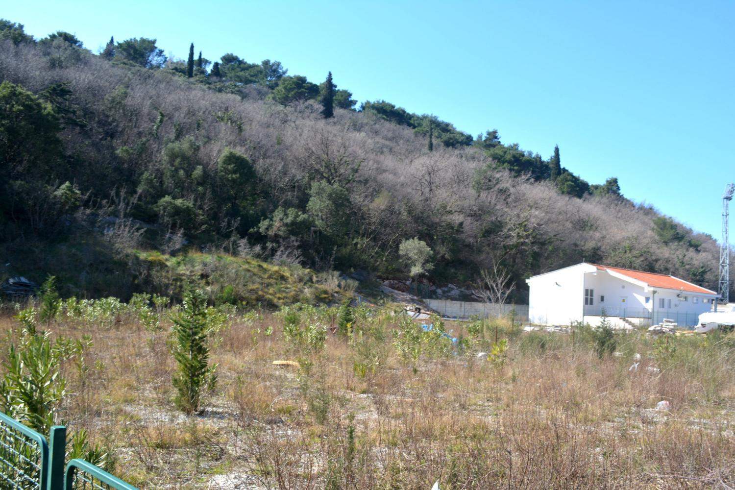 Land plot 