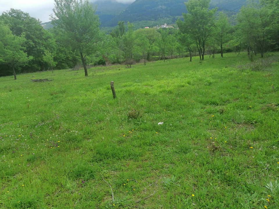 Land for Sale, Montenegro, Kotor region, Radanovici | Villacarte