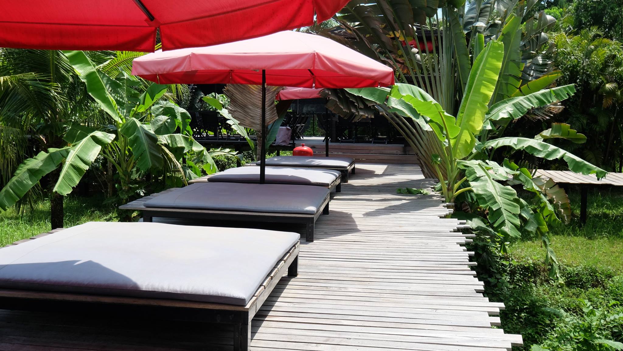 Rent villa Xian, Thailand, Phuket, Nai Ton | Villacarte