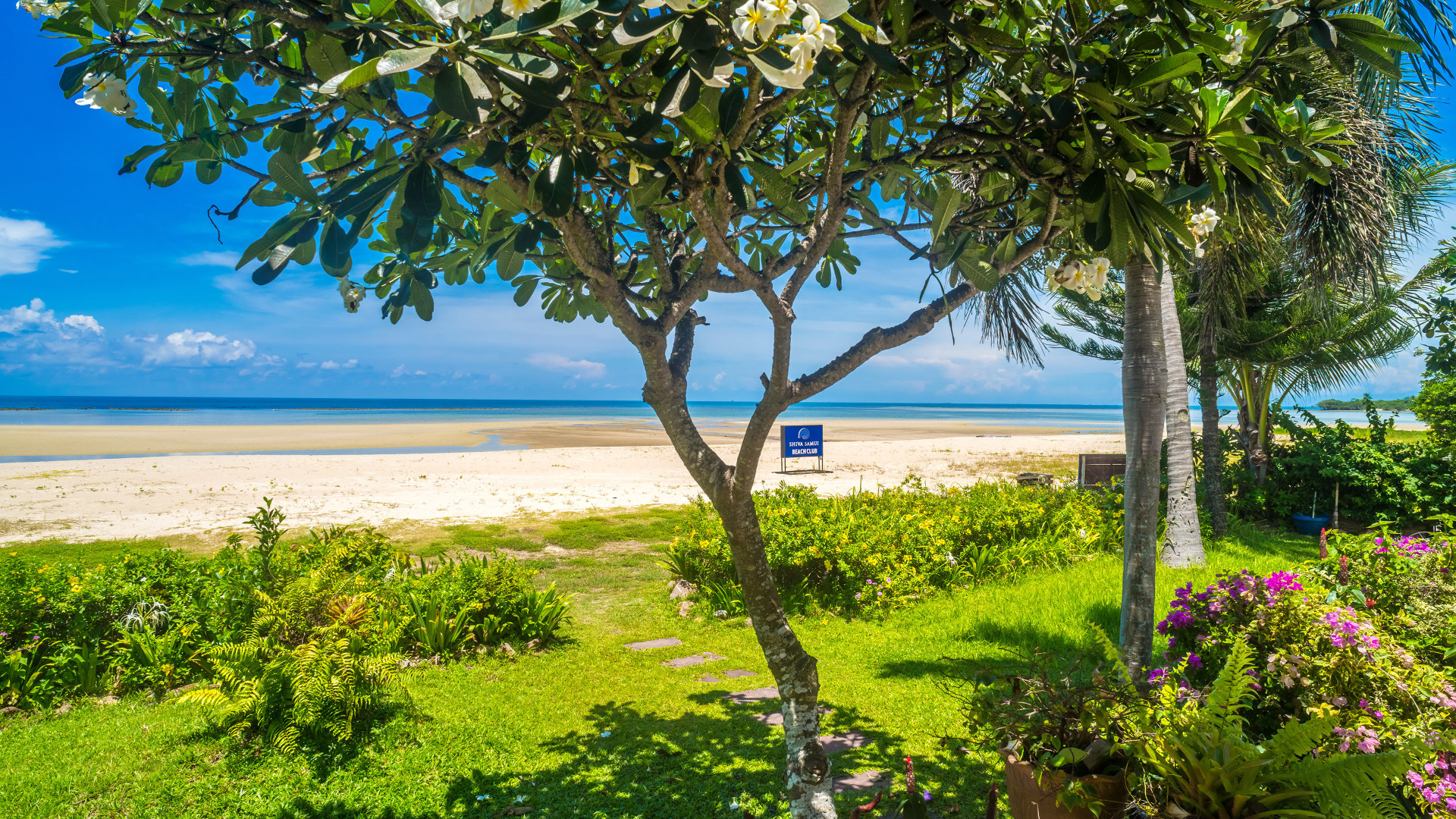 Rent villa Baan Chaai Haat, Thailand, Samui, Hua Thanon | Villacarte